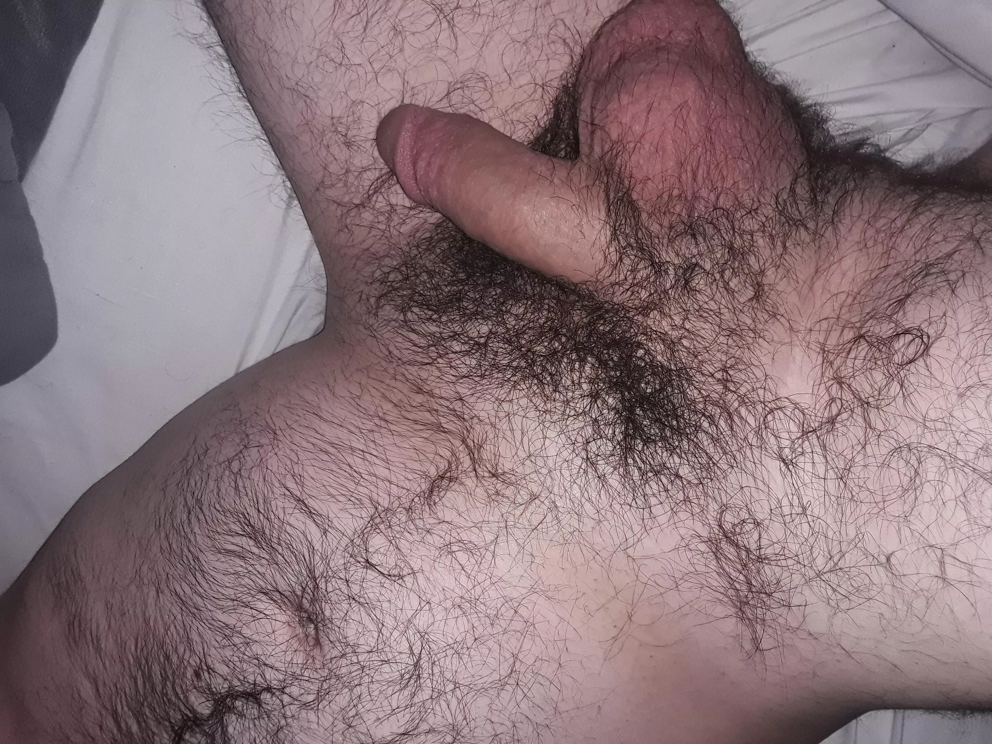 Mixed nuts. Dms open posted by Solid_Application_98