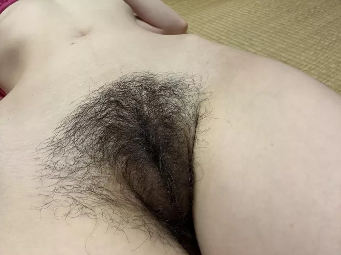 My bush is Getting longer by draconia777