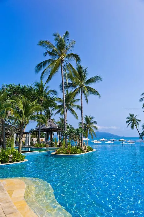 Nice weather for a swim. posted by Mindless_Remove8327