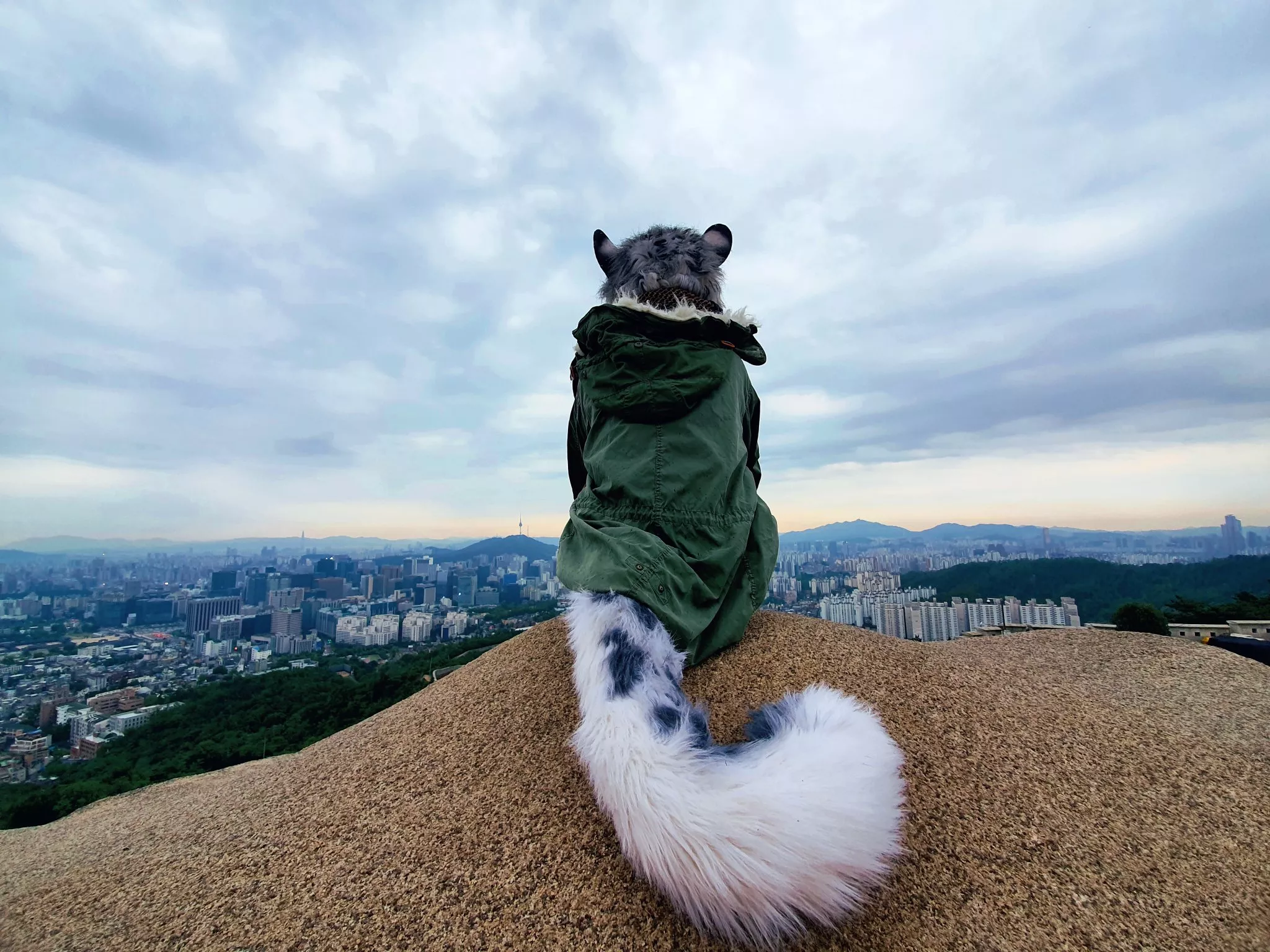 Oh, to have the world by its tail... (@Hoonkuk on Twitter) posted by Dragoniel