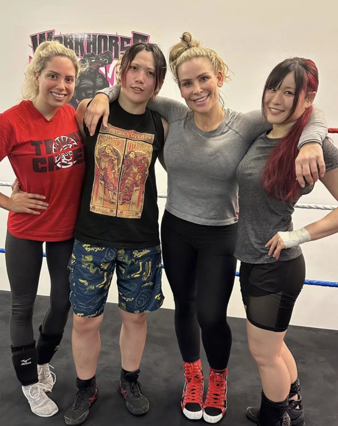 Utami Hayashishita, Natalya and Iyo Sky posted by jorodgers966