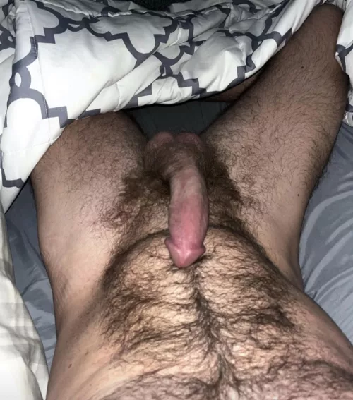 Where should we start by fithairydude