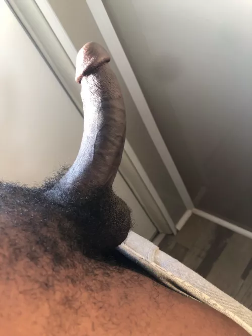 Wood morning . Open up by Otherwise-Historian6