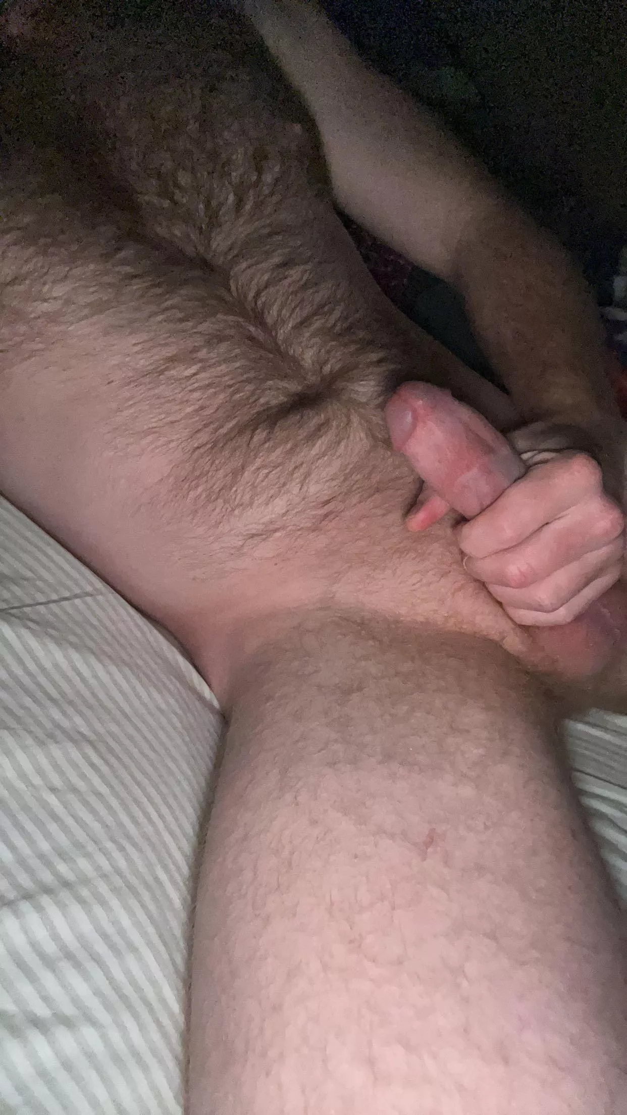 (28) can you give me a hand bro? posted by Curious_bostonbro7