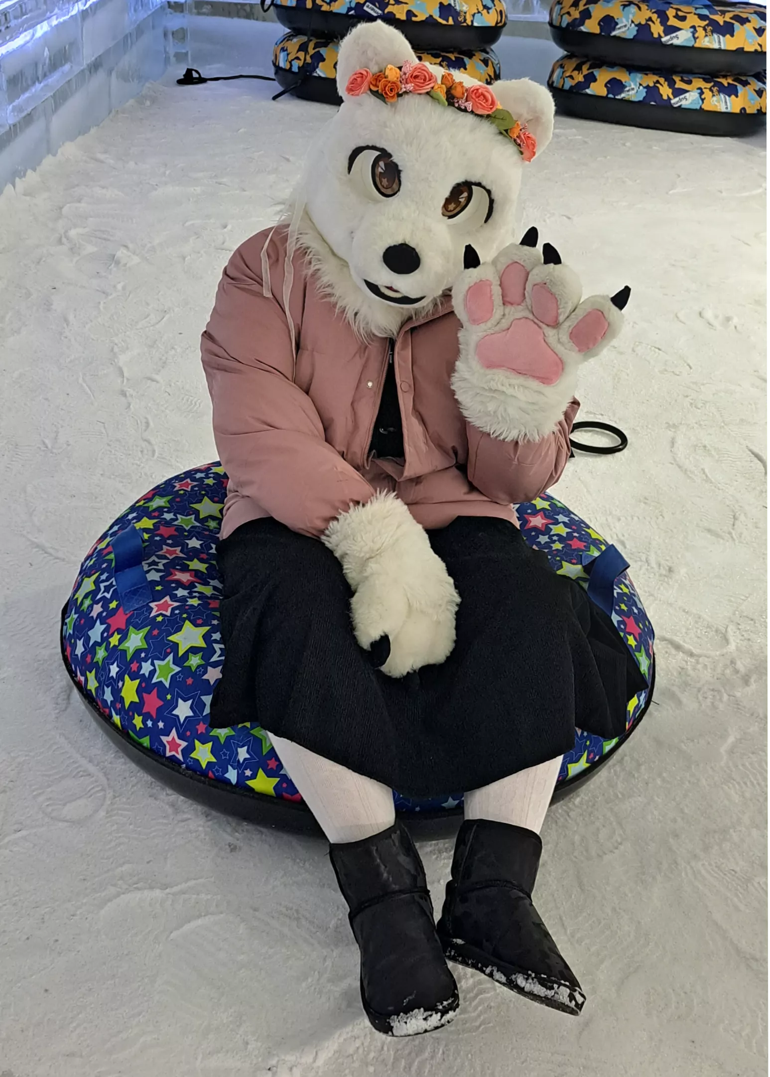 A wild polar bear going snow tubing posted by IAmBarnabyBear