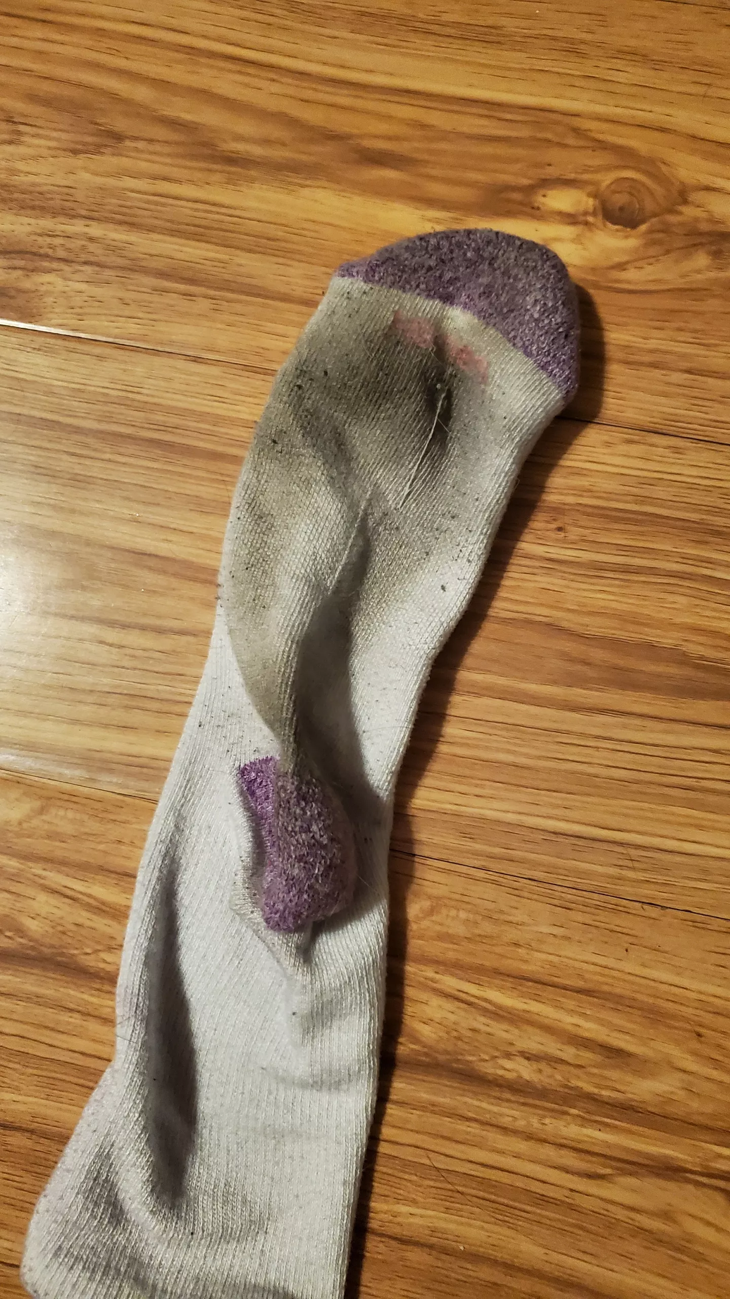 Can you guess my shoe size from looking at this filthy sock? posted by Longfoot-Lola