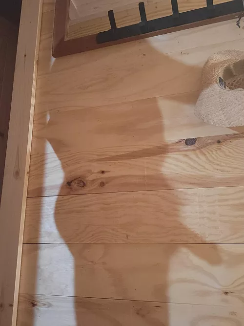 Catch me in the shadows by thrownmtn