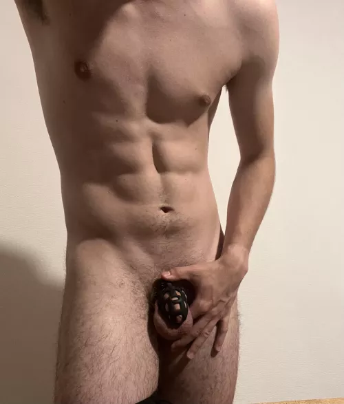 How does my new, smaller cage look? 👀 by Potloodvla