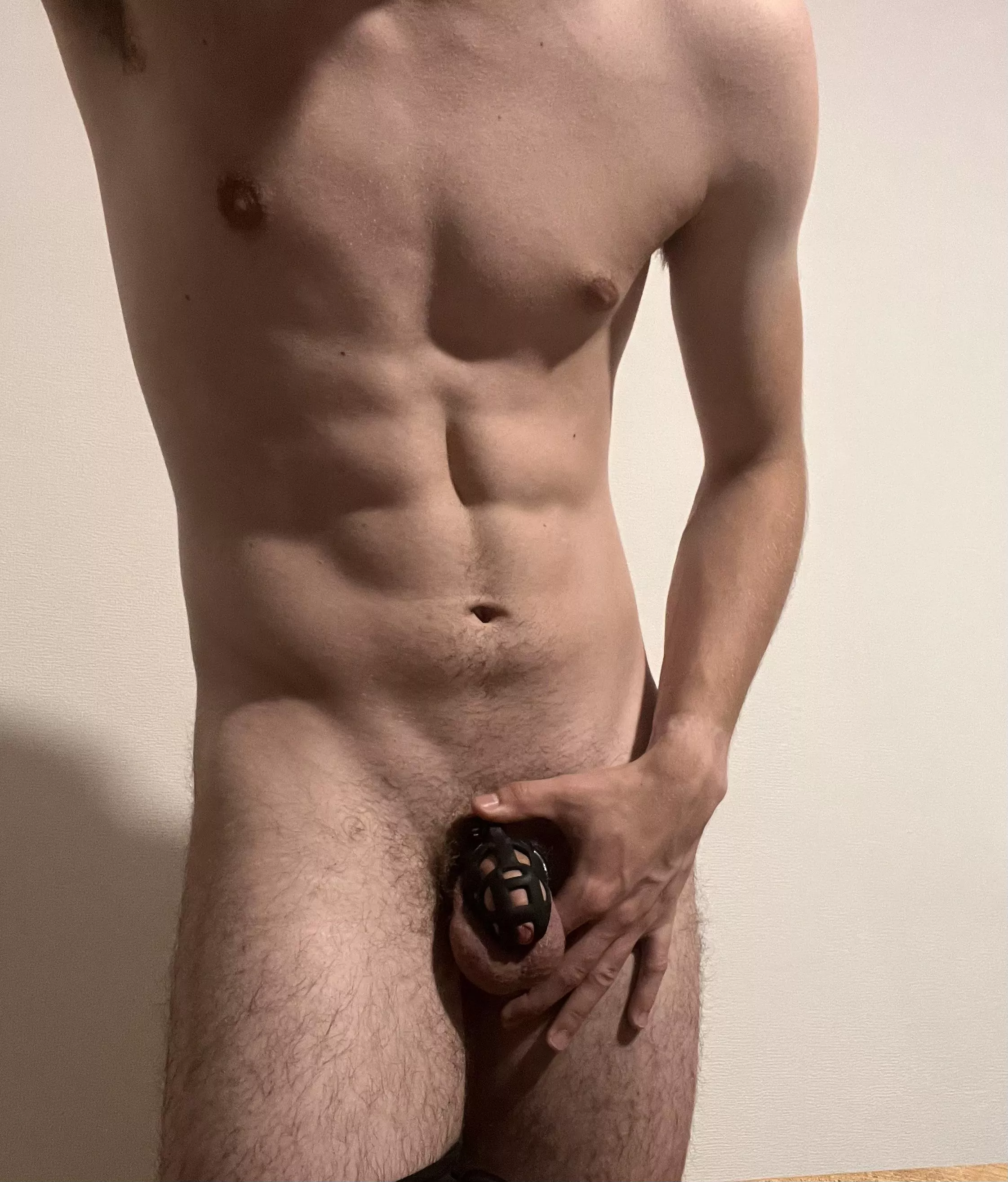 How does my new, smaller cage look? 👀 posted by Potloodvla