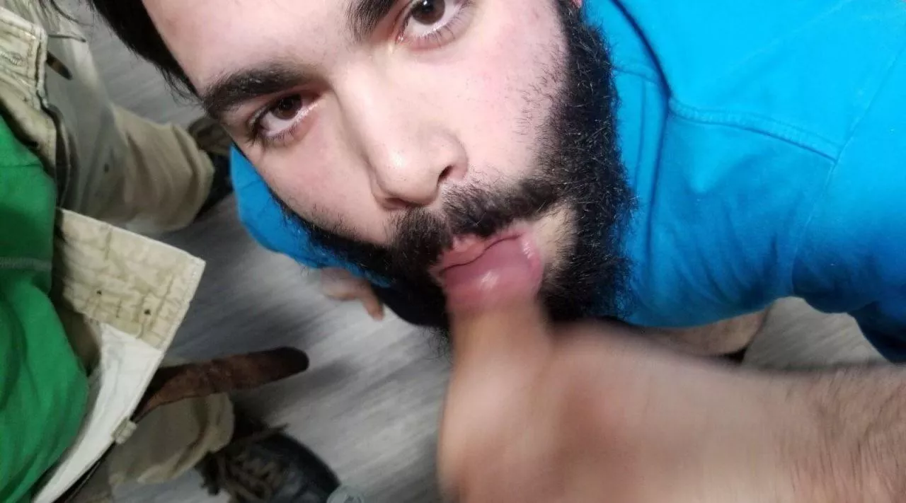 Looking at them while you suck their balls dry posted by Sweetlourando90