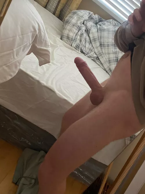 Who wants it by Historical-Thing-917