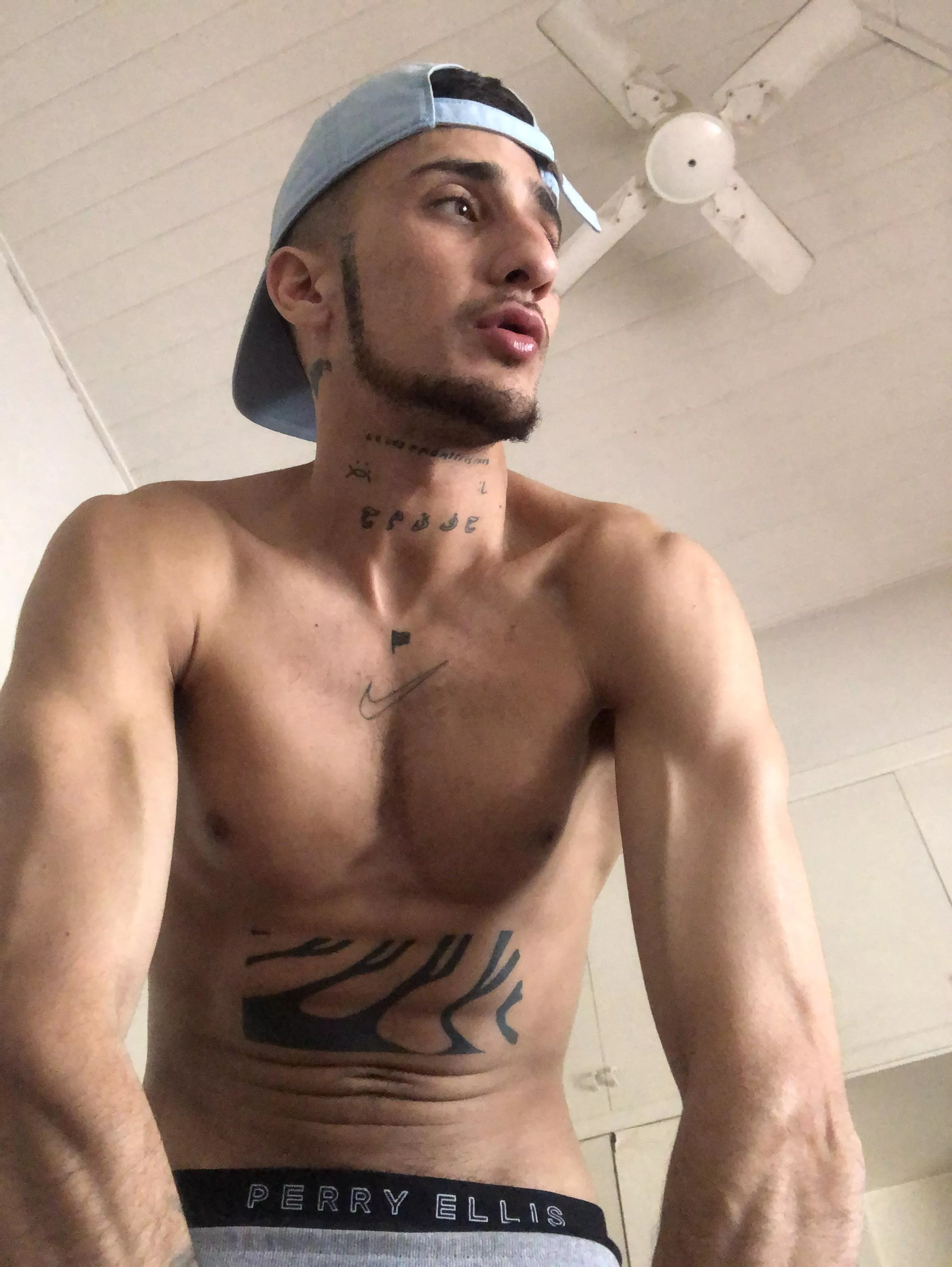 Who wants to have fun? posted by fardamn