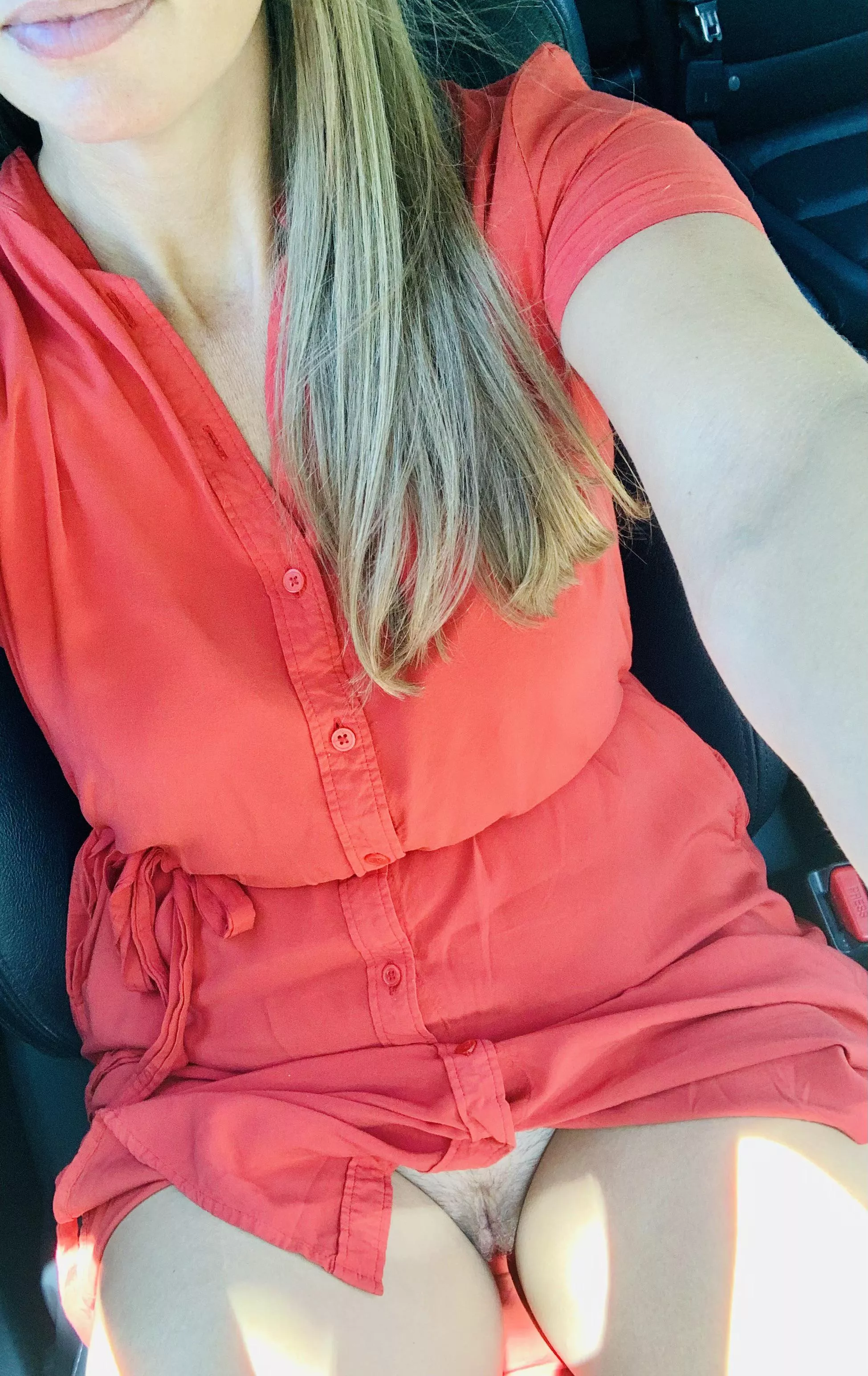 A shrubbery! [F39] posted by secretly_naughty9