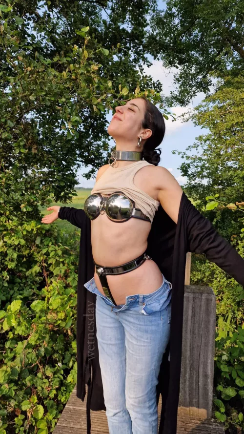 Going to be locked for 5 days at u/fotoro ‘s place, and this is the first walk we did to see some dutch ducks🥰 by wet_nesday