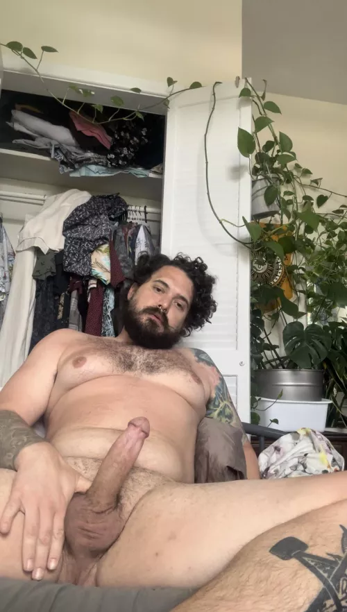 I shave my balls more than I shave my beard by Greedy-Incident-9801