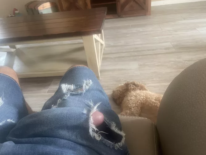 Peek a boo by ER1075