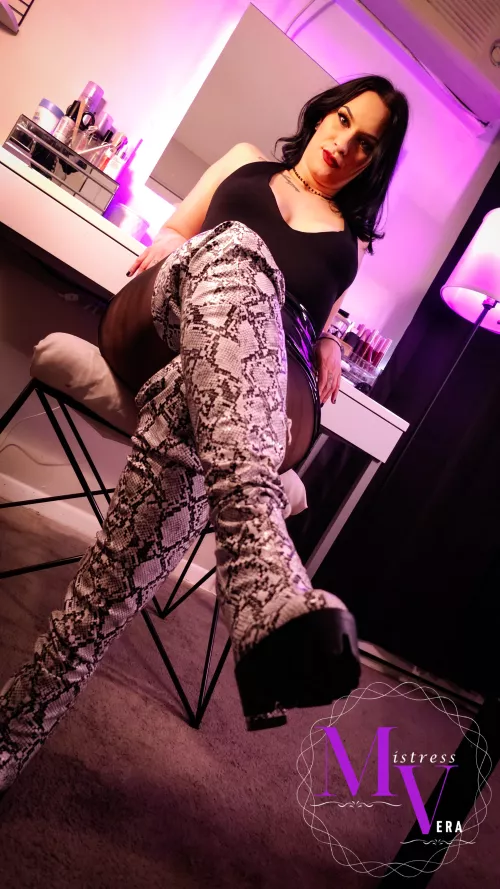 We both know where your focus went first. by MistressVeraOfficial