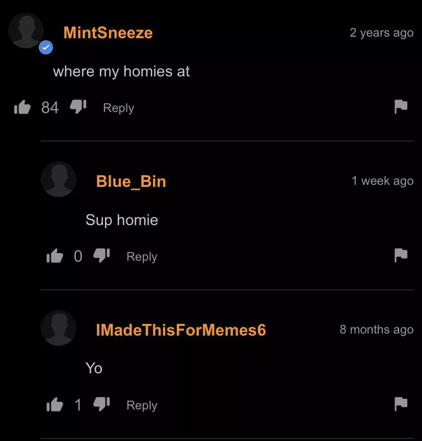 Where my homies at posted by SleepyNoodlezYT