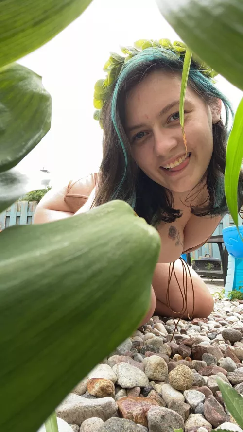 Your local druid is looking for herbs. Can I get some help? by Lexry