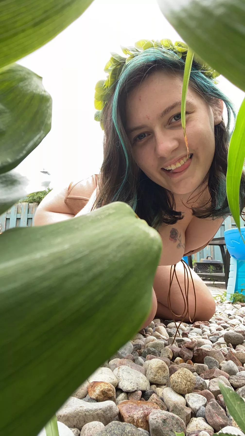 Your local druid is looking for herbs. Can I get some help? posted by Lexry