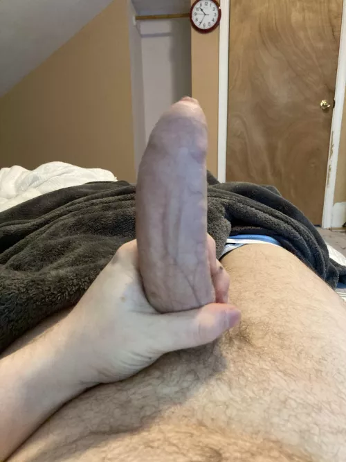 [31] hung uncut for little bro cocksucker or dad by jkbfss