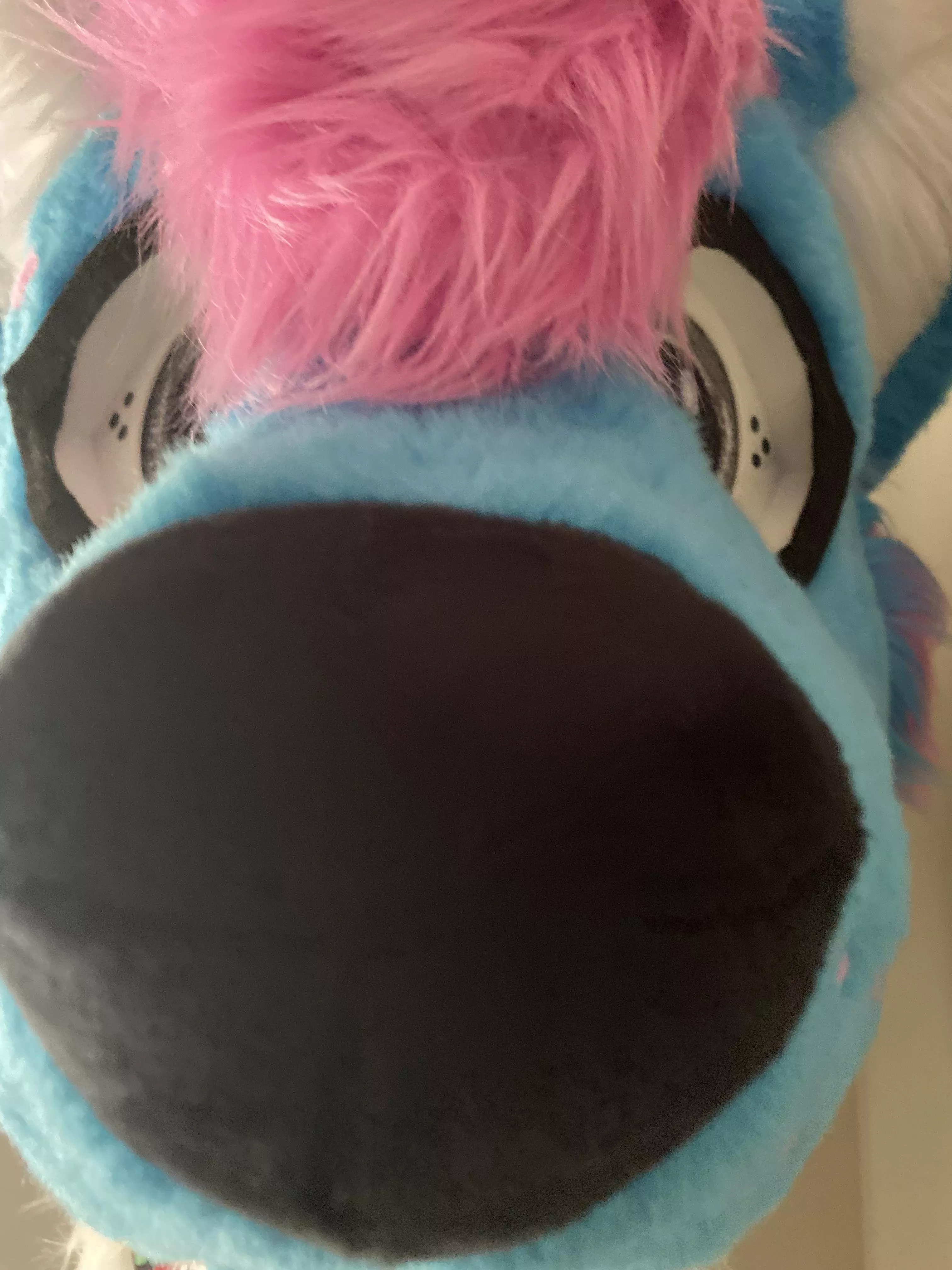 Boop! posted by Colonel-Clayton