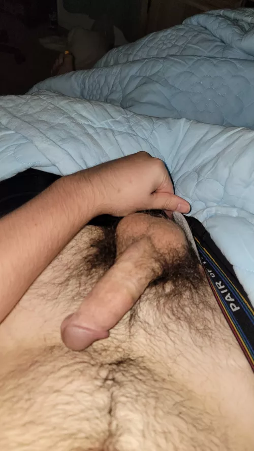 Bush is getting so thick by wasiancub