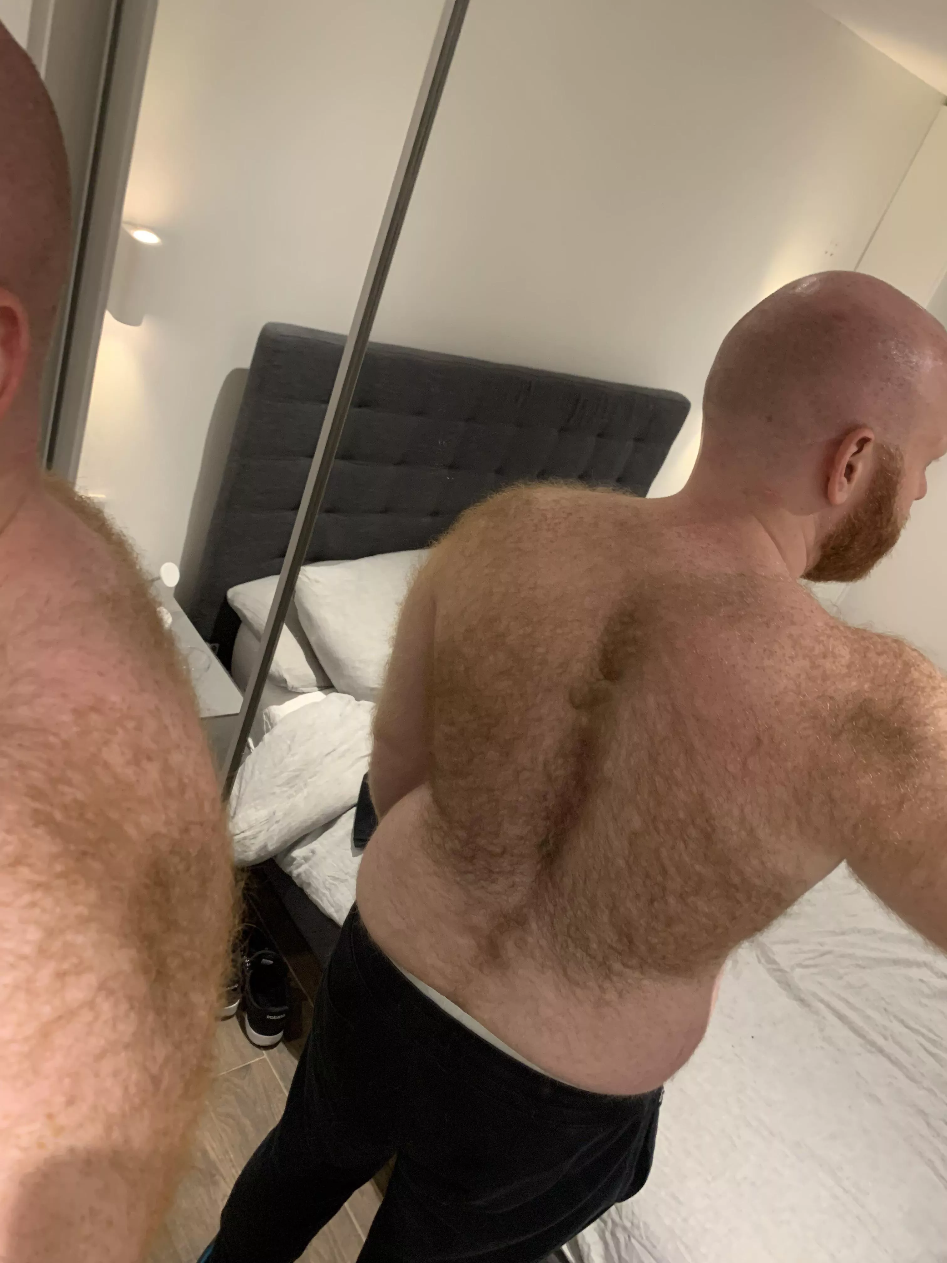 Decided to let my back hair grow out posted by beardedgingerbear