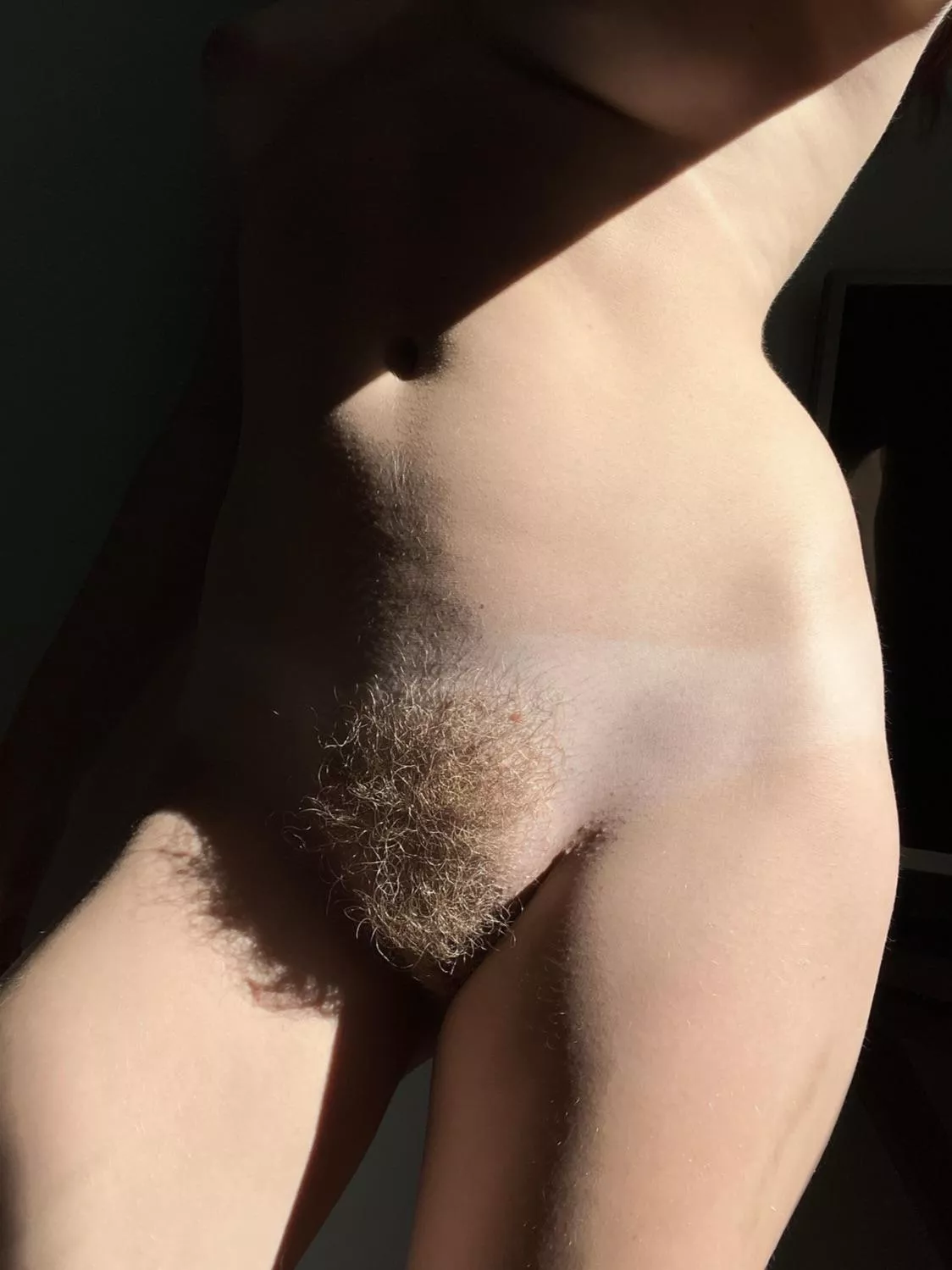 Do you like ginger bush? posted by abbysunny