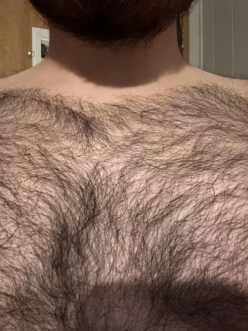 If you have chest hair and keep it trimmed what guard/level do you prefer? by loophole-jumper
