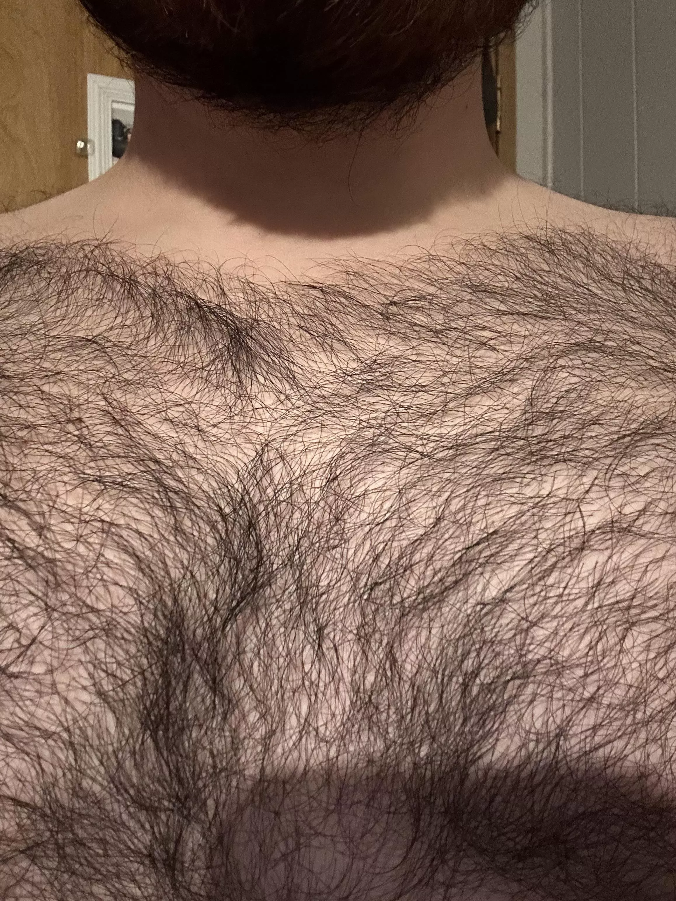 If you have chest hair and keep it trimmed what guard/level do you prefer? posted by loophole-jumper