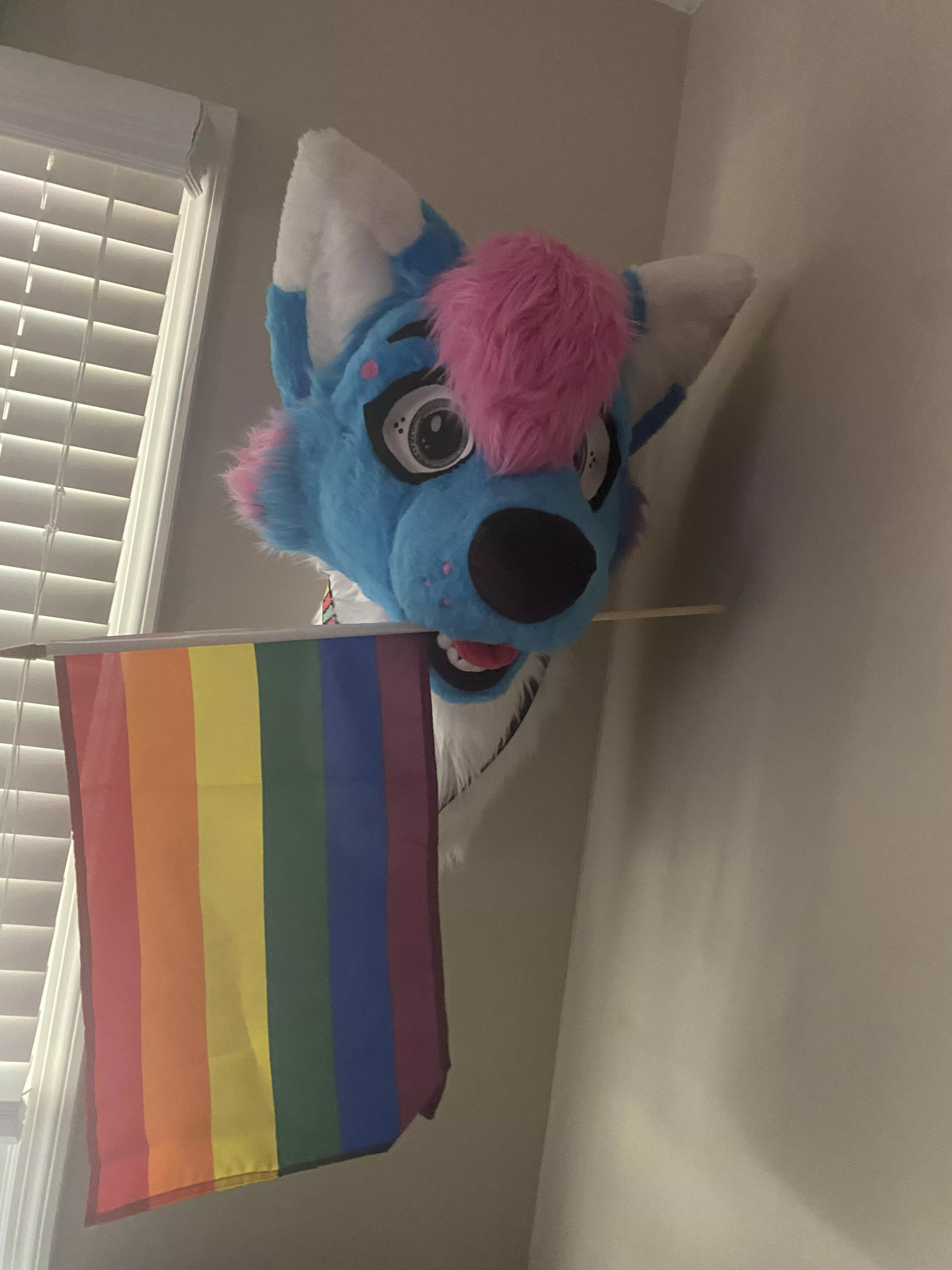My fursuit head! posted by Colonel-Clayton