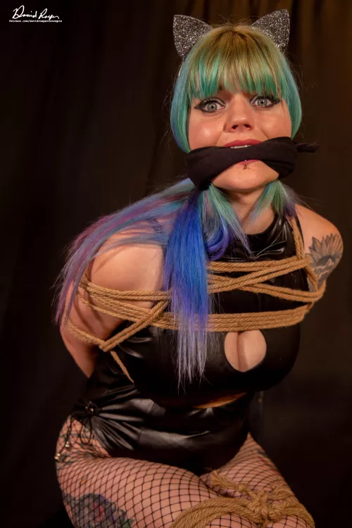 No more biting for this kitty. by DavidRoeperConcepts