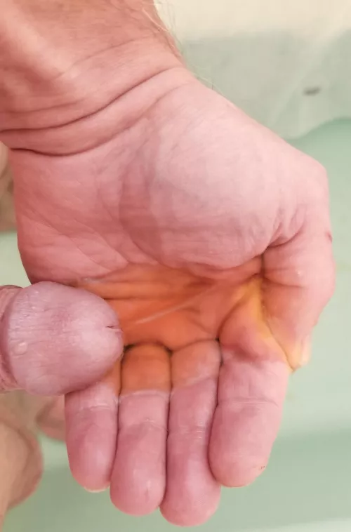 Take a sip from my hand by JKPig66