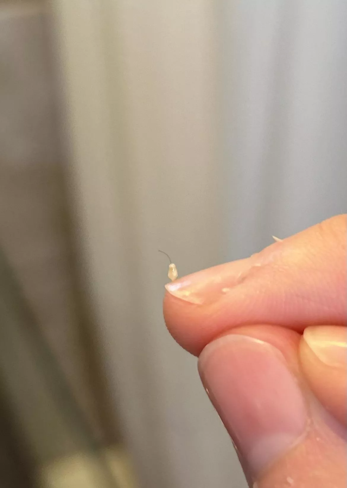 This little pop is so cute lol posted by monstersoframen