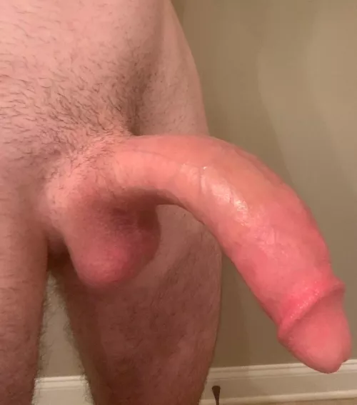 Who wants to get railed by this monster cock? 👀 by thawhiteanaconda