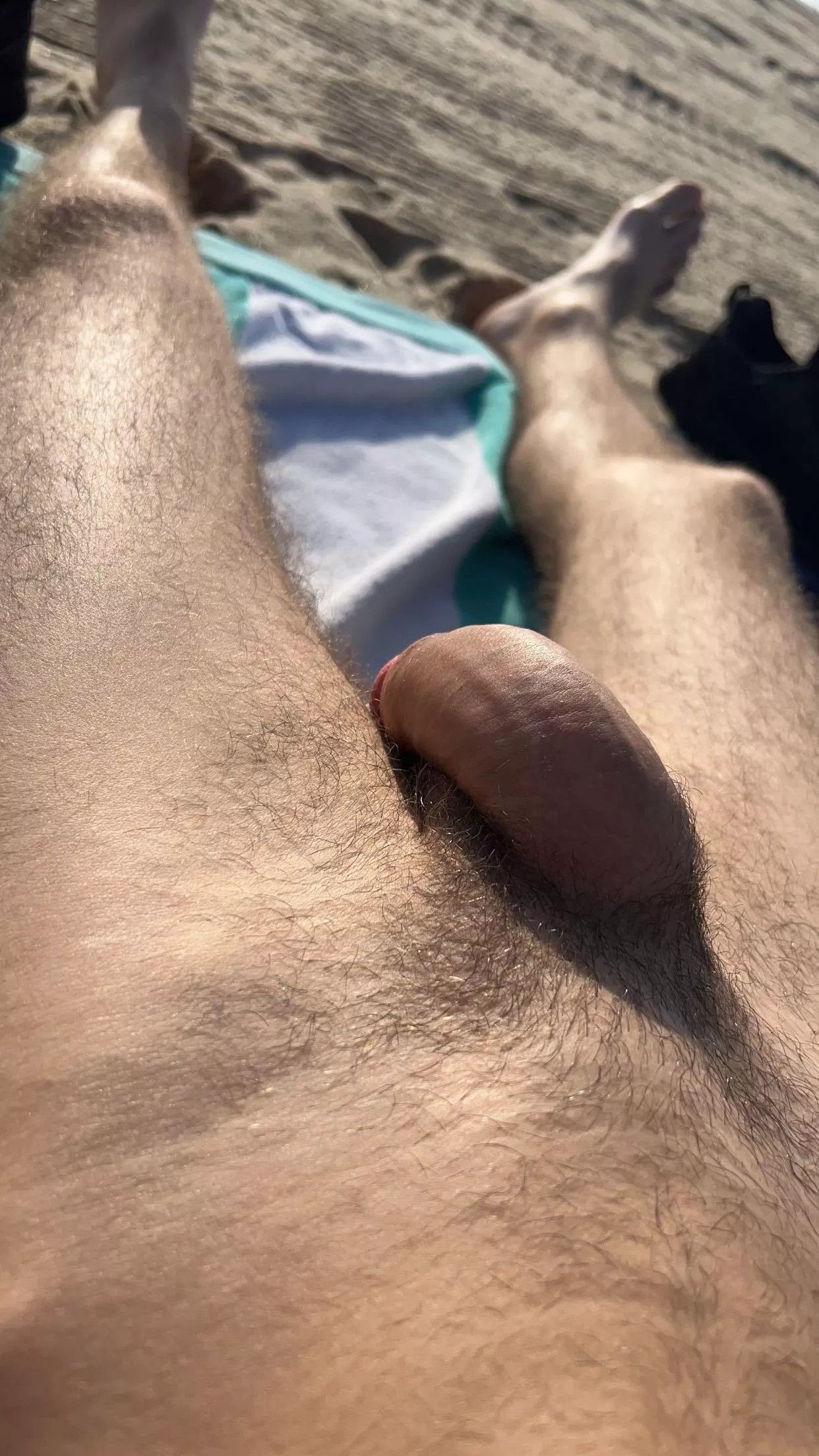 Wwyd posted by WheelDowntown1936