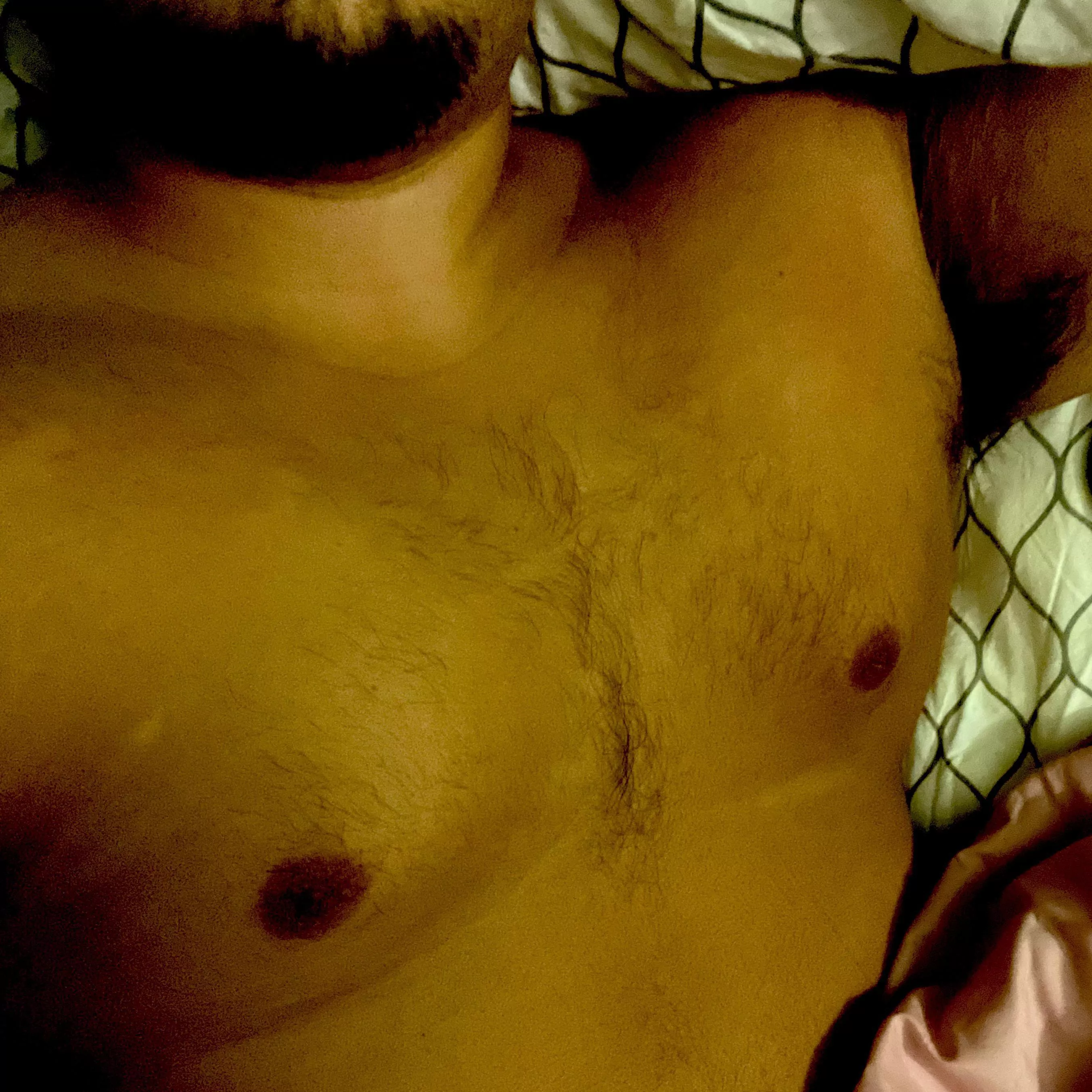 31 muscle chub looking for some fun while the wife is asleep. You gonna help daddy out tonight? DM me posted by t_bridgers23