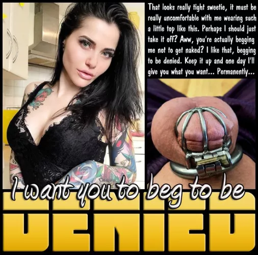 BEG TO BE DENIED [chastity] [femdom] [permanent] by Teas_Denial
