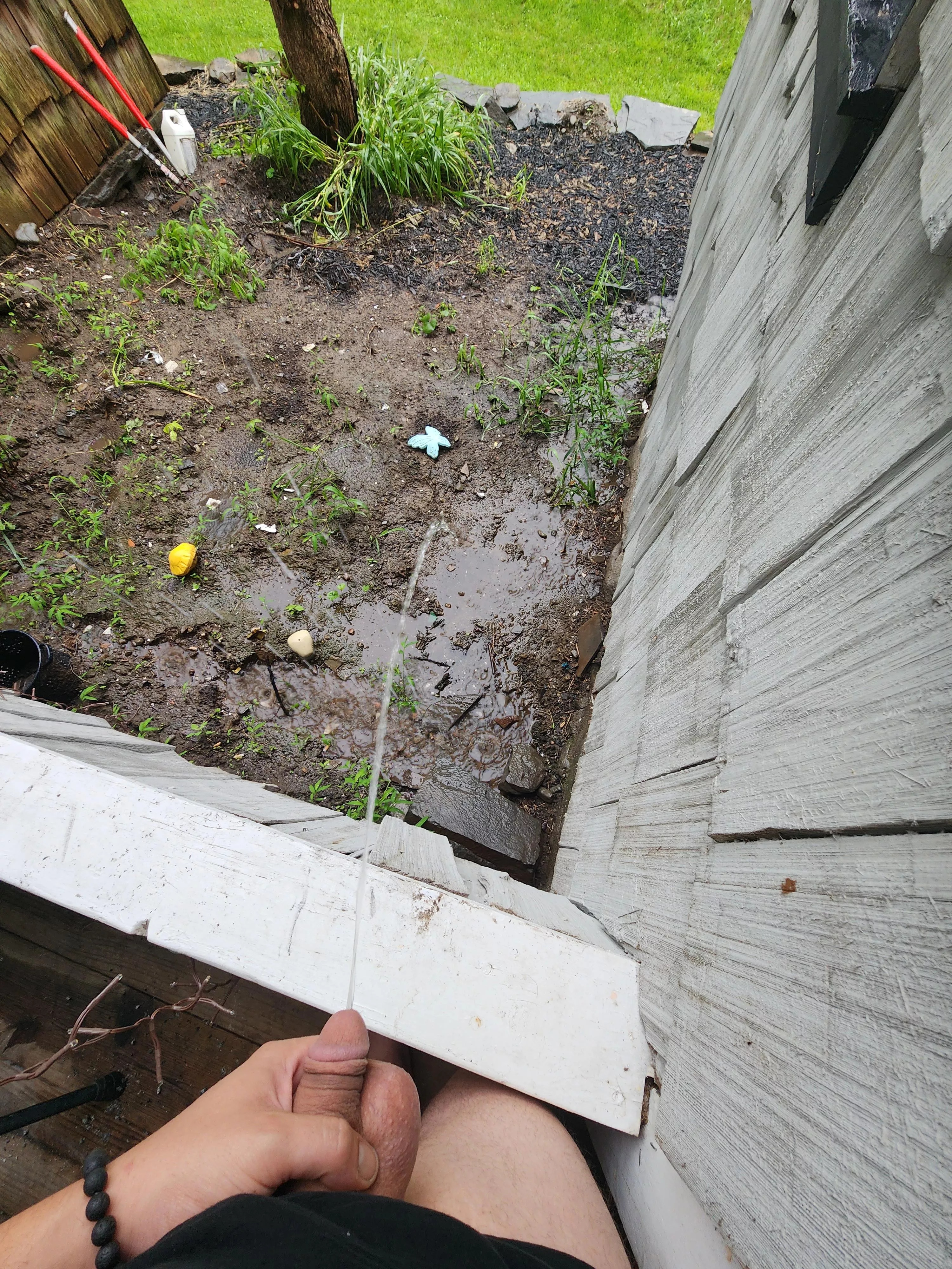 Freak a leak posted by vilhelm5309