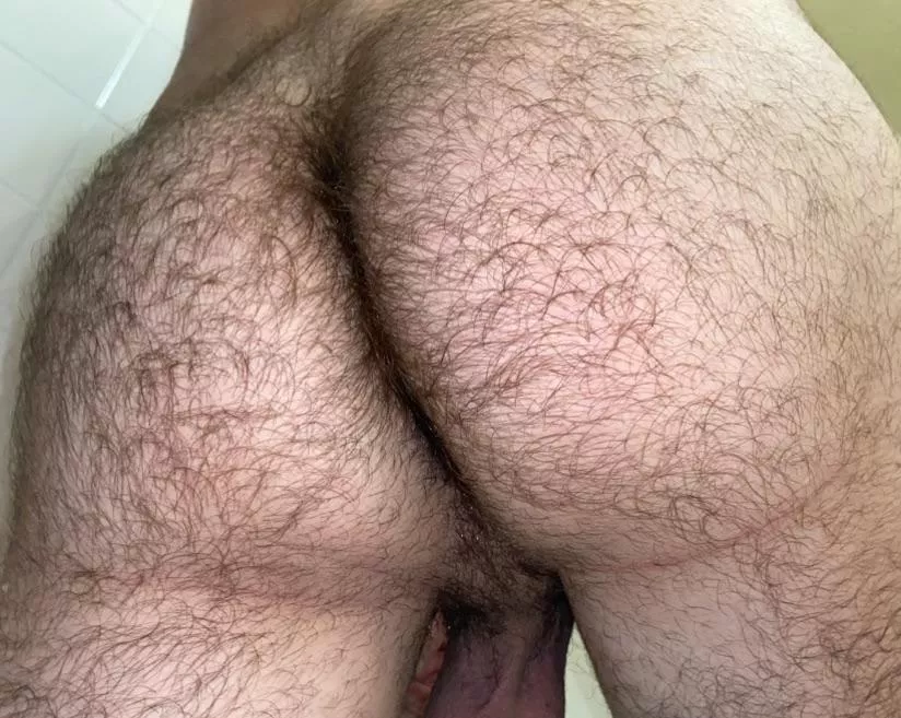 Love having a hairy ass posted by fuzzy_escobar