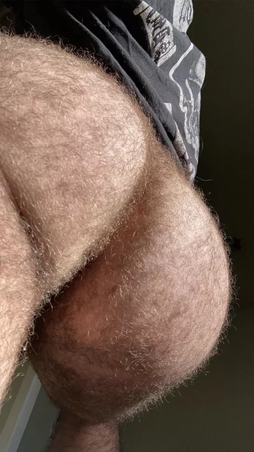 Oh look I found your pillow :) by Alternative-Diet4689