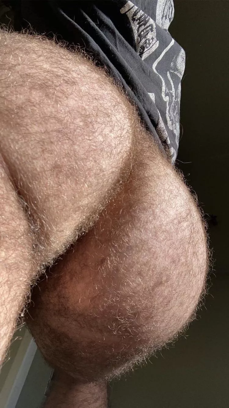 Oh look I found your pillow :) posted by Alternative-Diet4689