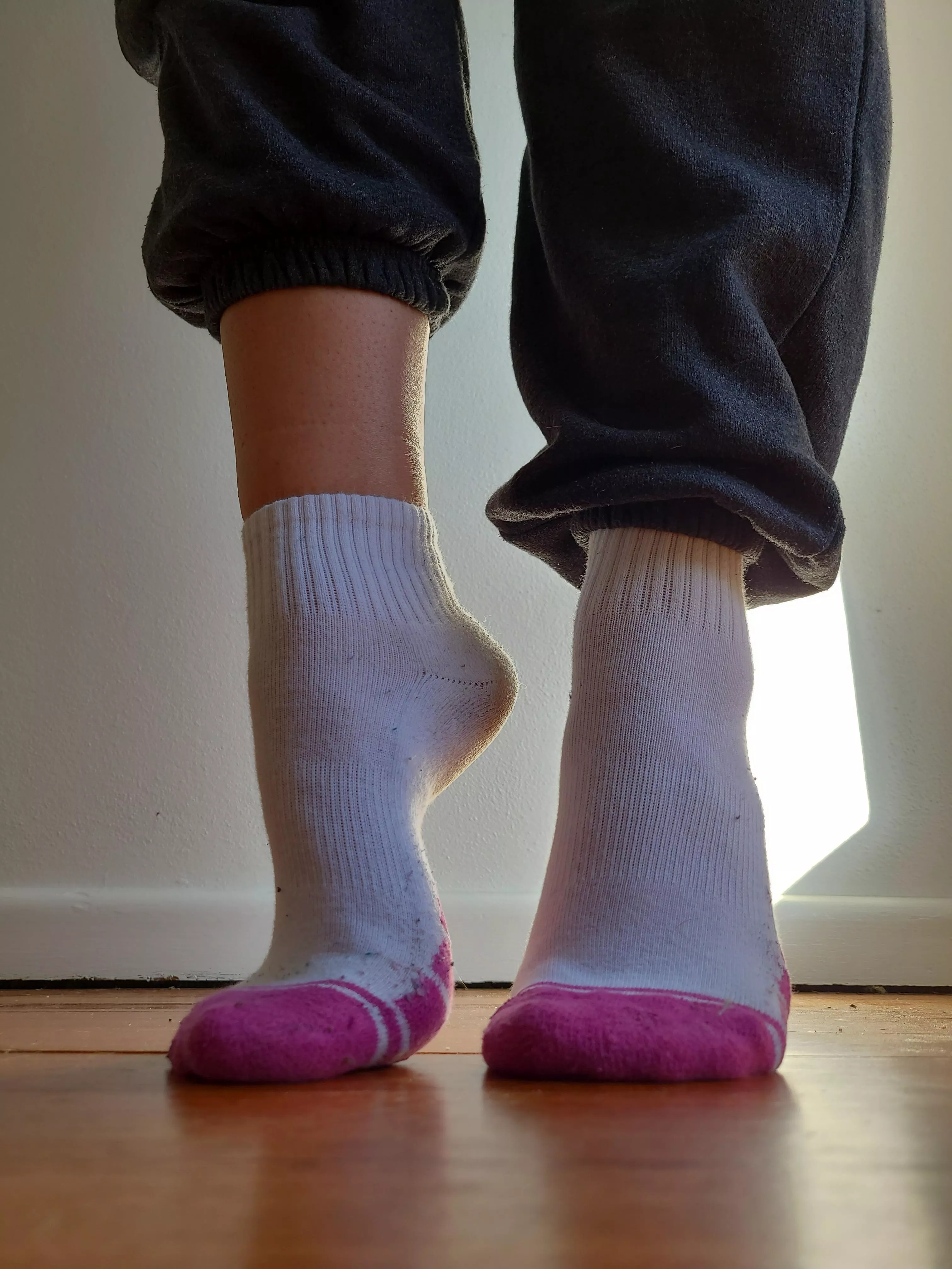 These babies smashed a 6km walk today 😬 posted by PrincessBadGirlKink