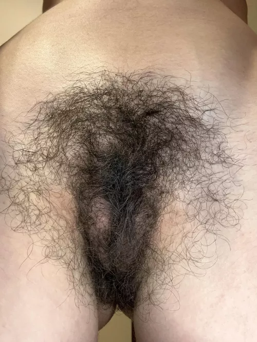 Very hairy bush by draconia777