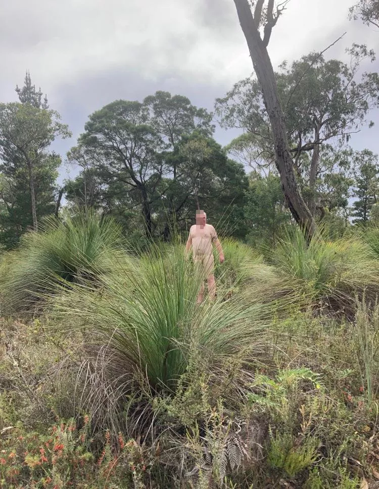 Afternoon walk posted by Funandenjoyment