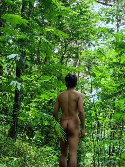 Haven't been nude for awhile. It feels great to be back! by robert45aveg