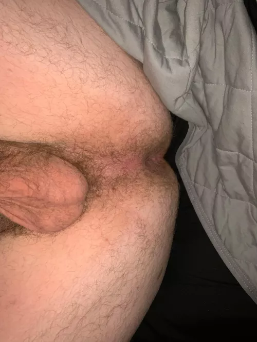 I need a good breeding by Beneficial-Tap7340