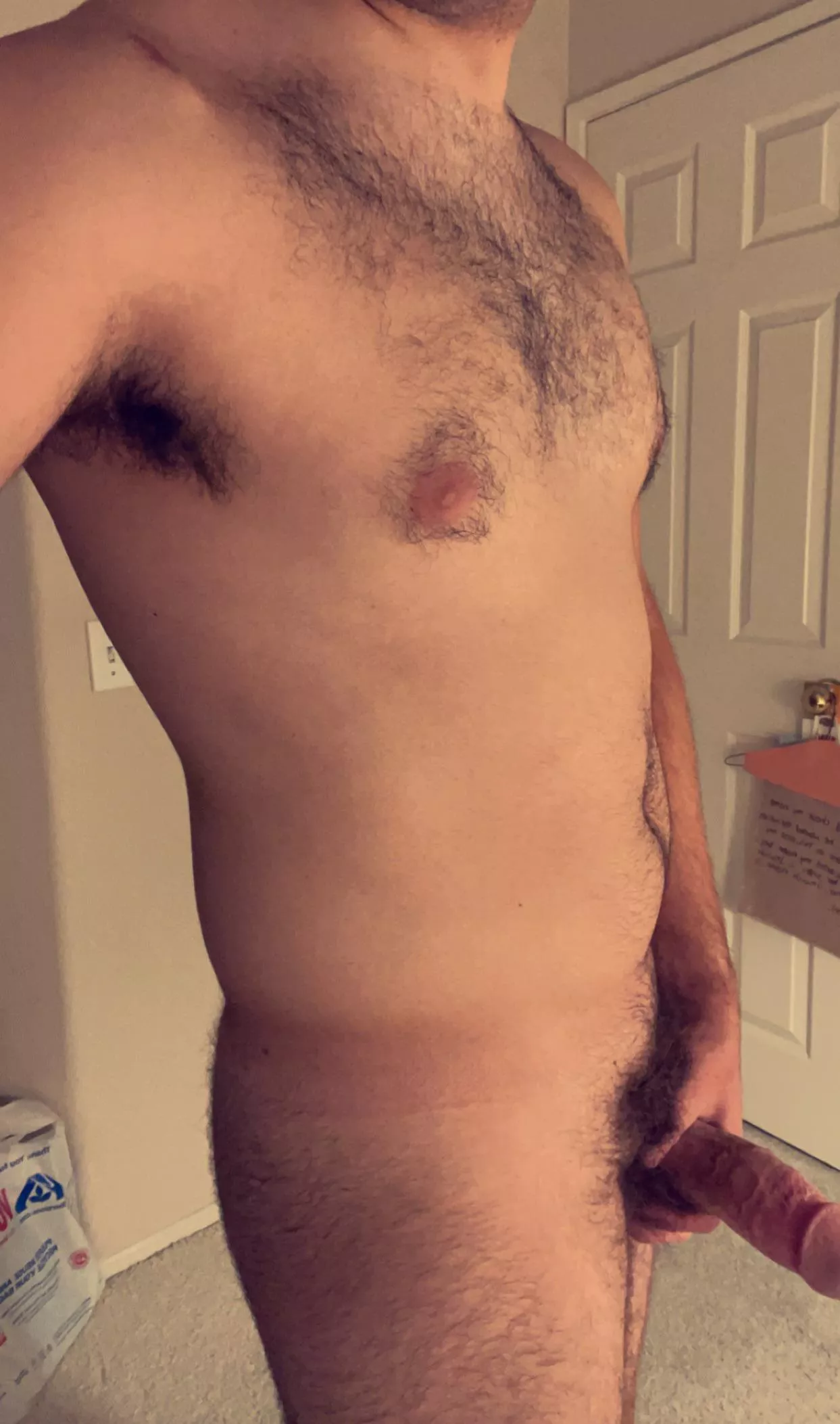 I wish my chest got a tad hairier. What do you think? posted by flyingmonkey246