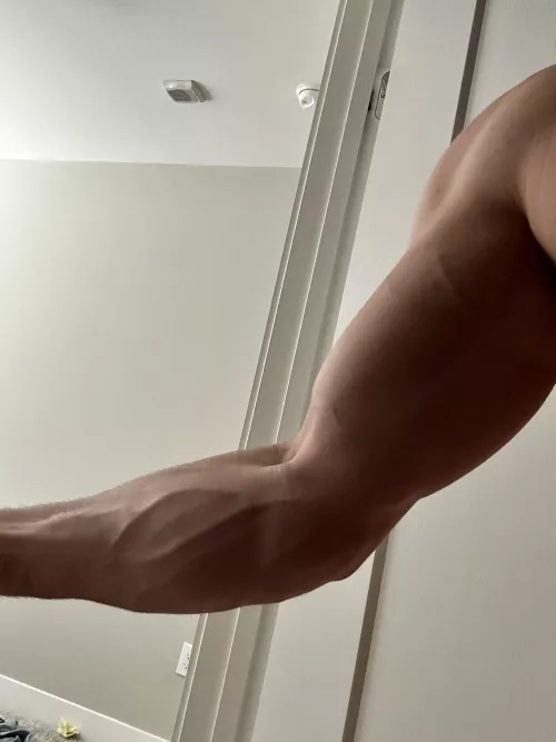 Im back 😈 by TroyLight